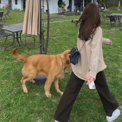 黎明时分的年轻人们